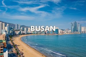 busan south korea teaching