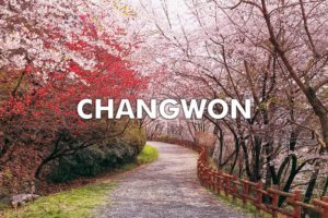 changwon south korea teaching