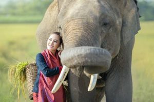 teach english in chiang ma thailand